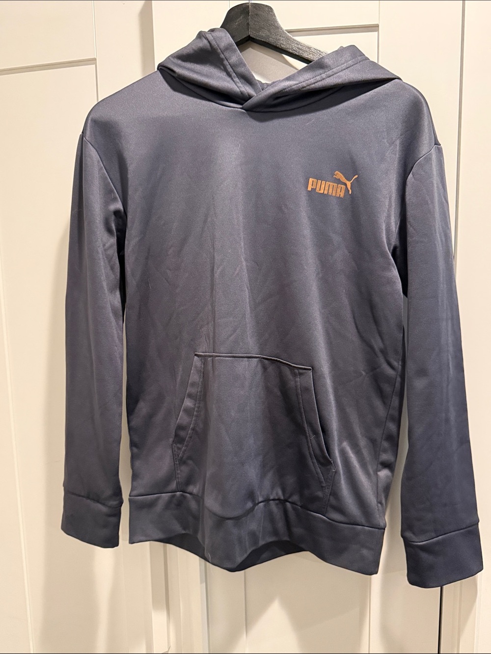 Puma Kids' Slate Blue Hoodie with Gold Logo